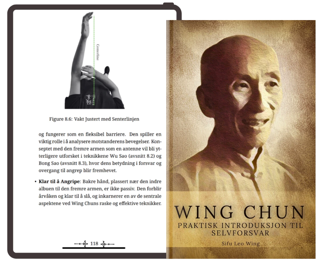 Wing Chun: Introduzione Pratica all'Autodifesa