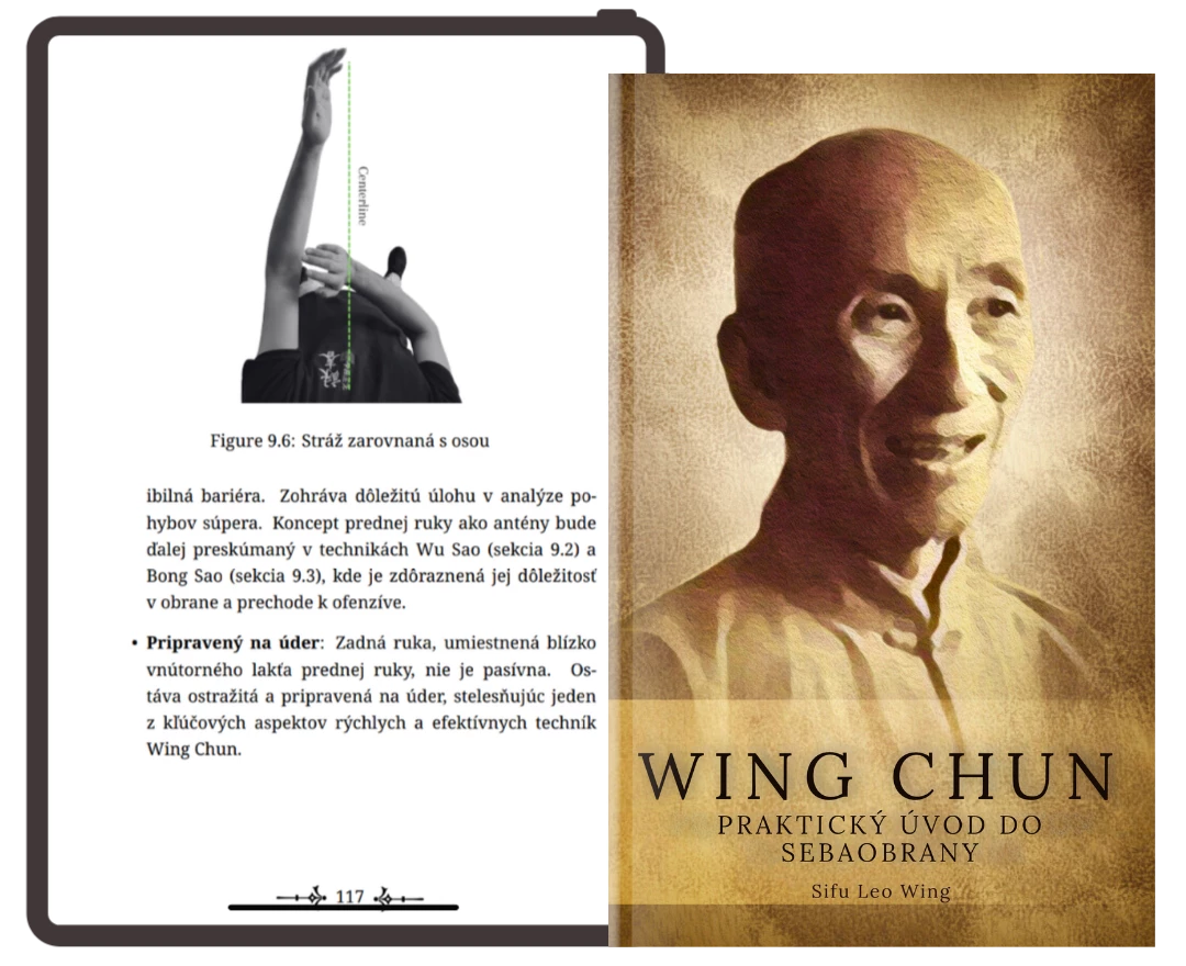 Wing Chun: Introduzione Pratica all'Autodifesa