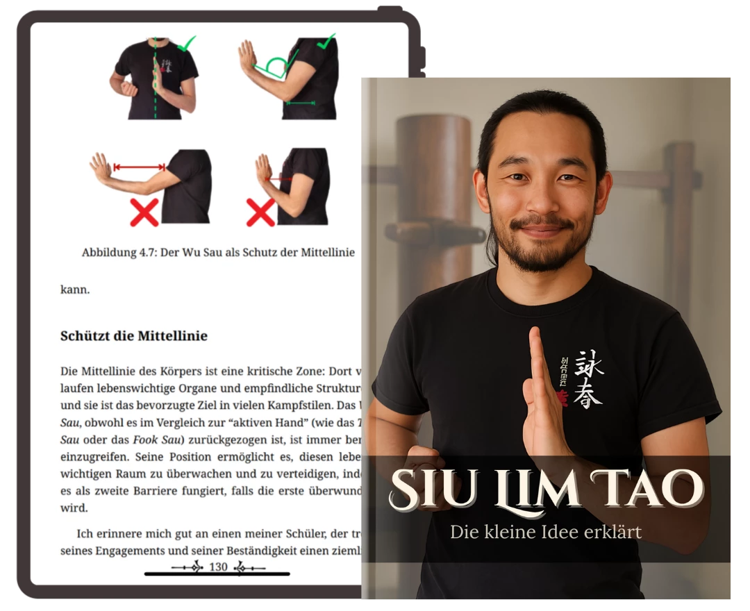 Siu Lim Tao - La Piccola Idea Spiegata