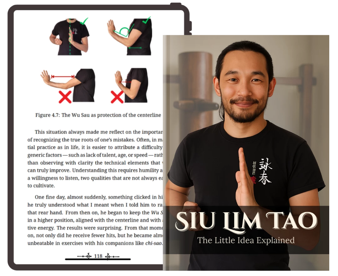 Siu Lim Tao - La Piccola Idea Spiegata