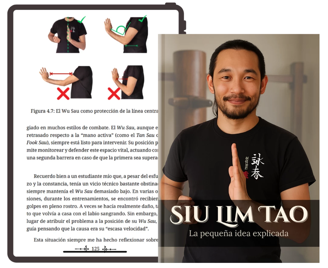 Siu Lim Tao - La Piccola Idea Spiegata