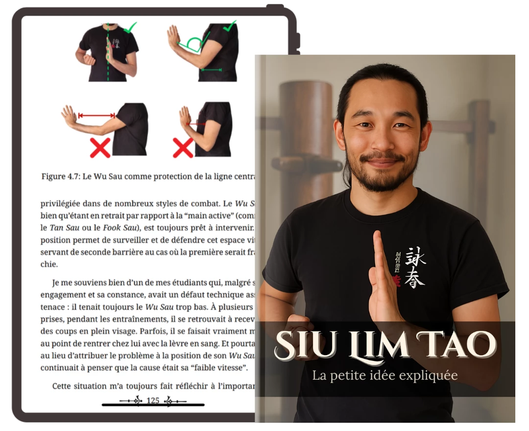 Siu Lim Tao - La Piccola Idea Spiegata