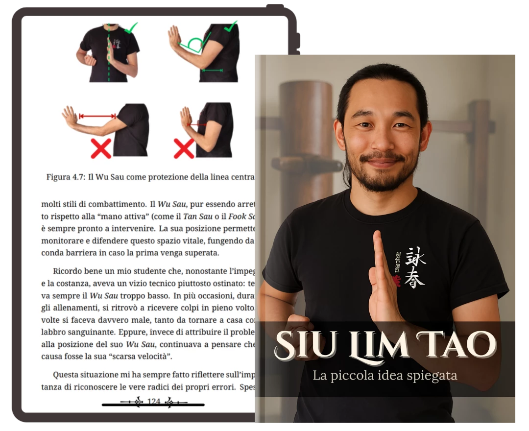 Siu Lim Tao - La Piccola Idea Spiegata