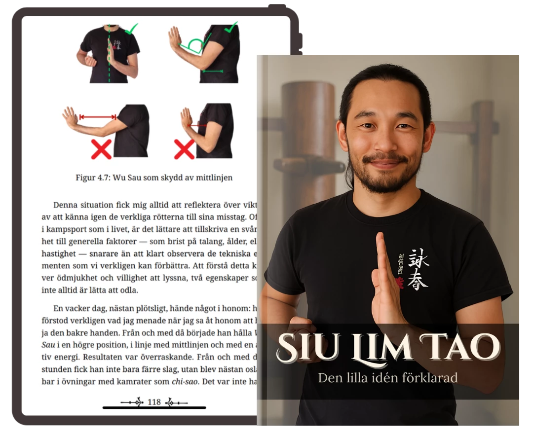 Siu Lim Tao - La Piccola Idea Spiegata