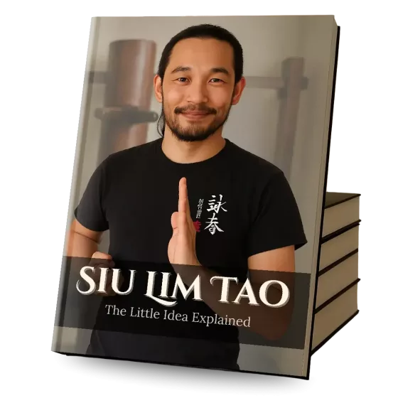 Siu Lim Tao - The Little Idea Explained - Book render
