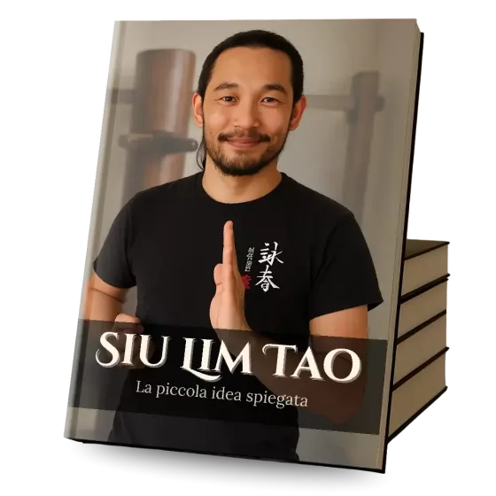 Siu Lim Tao - La Piccola Idea Spiegata - Vista libro