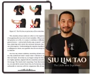 Siu Lim Tao - The Little Idea Explained - Tablet preview